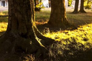 Positive and Lasting Change